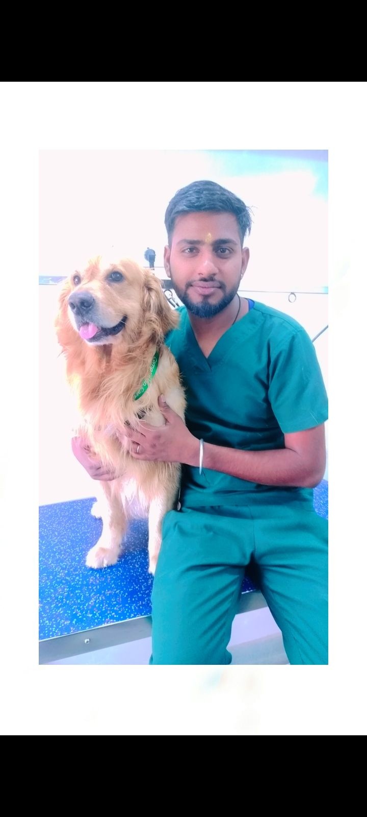 Pet Care